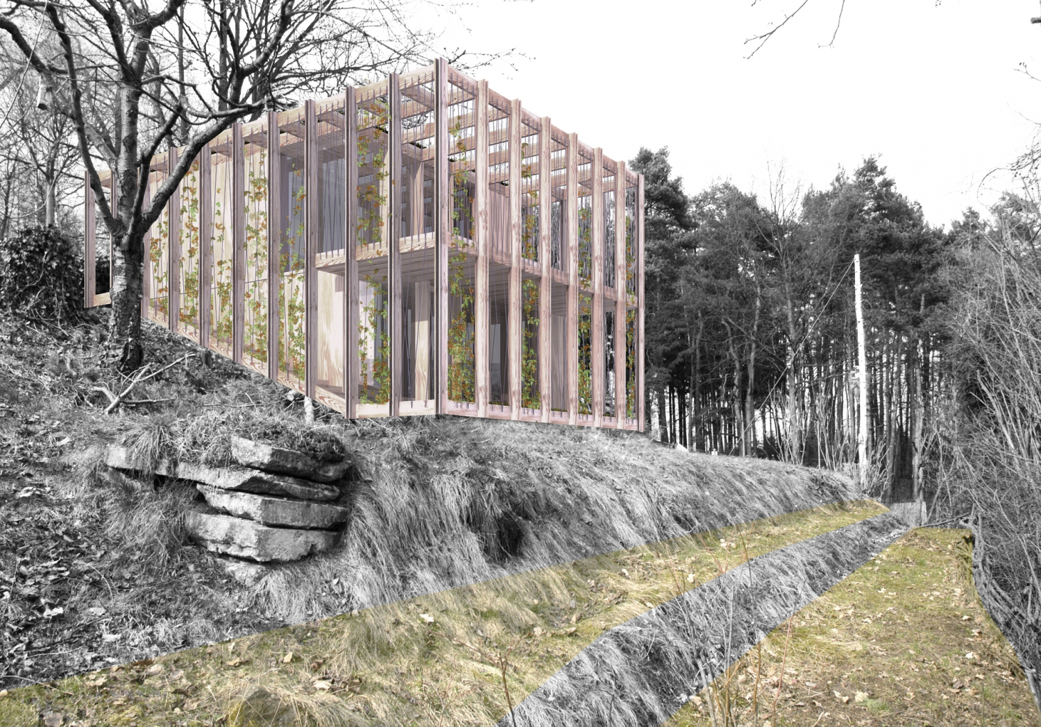 chata Senohraby Aulík Fišer architekti